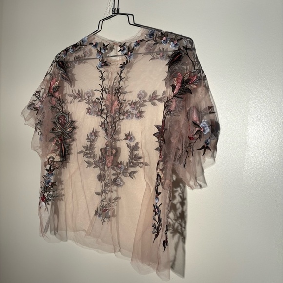Zara Sheer Tulle Emroidered Blouse - Picture 10 of 14